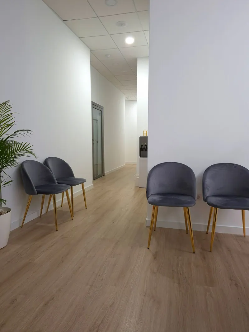 A quiet, bright hallway with grey velvet waiting chairs and a potted palm
